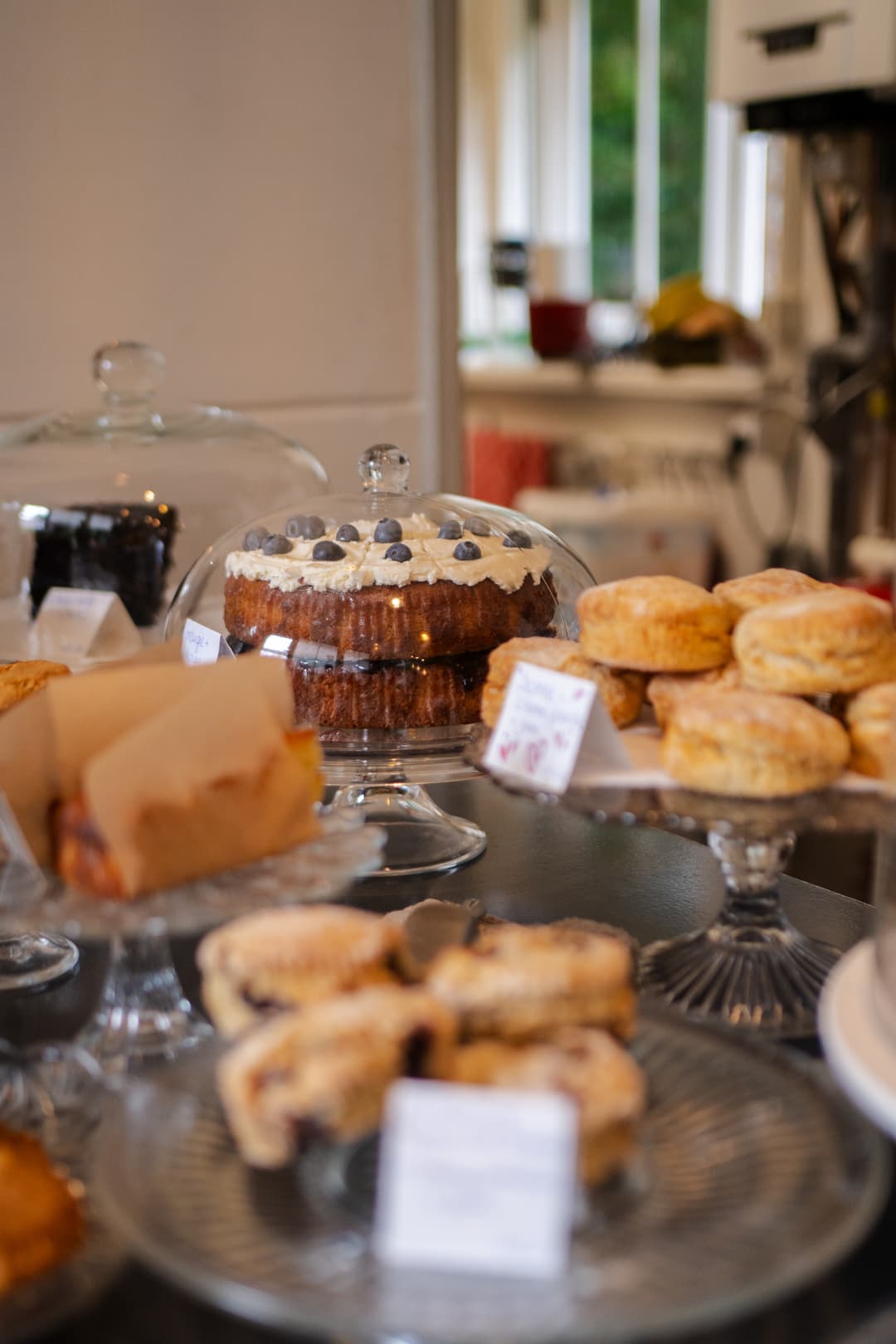 Den-Bosch-Bloem-2025-RosaDorsman (4).jpg