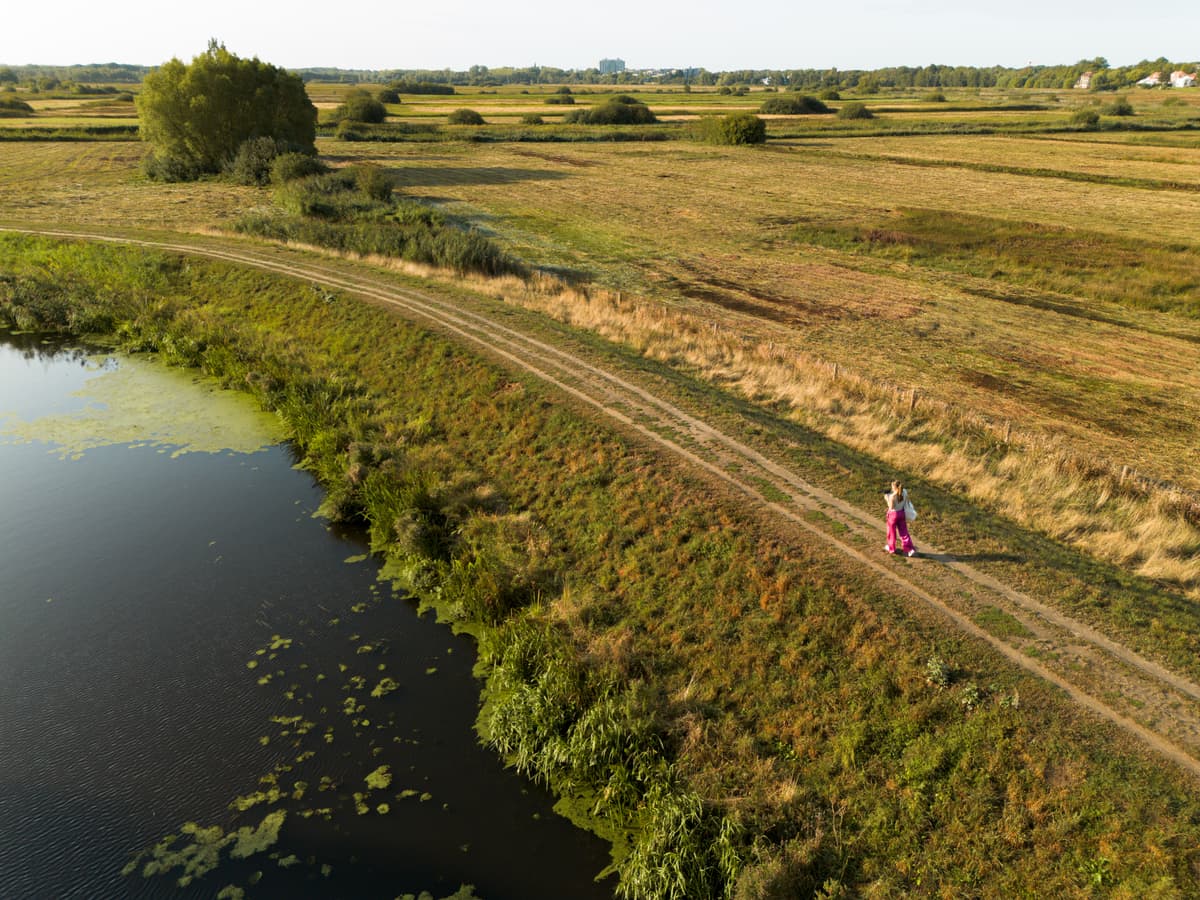 Den-Bosch-Bossche-Broek-2025-RosaDorsman (1).jpg