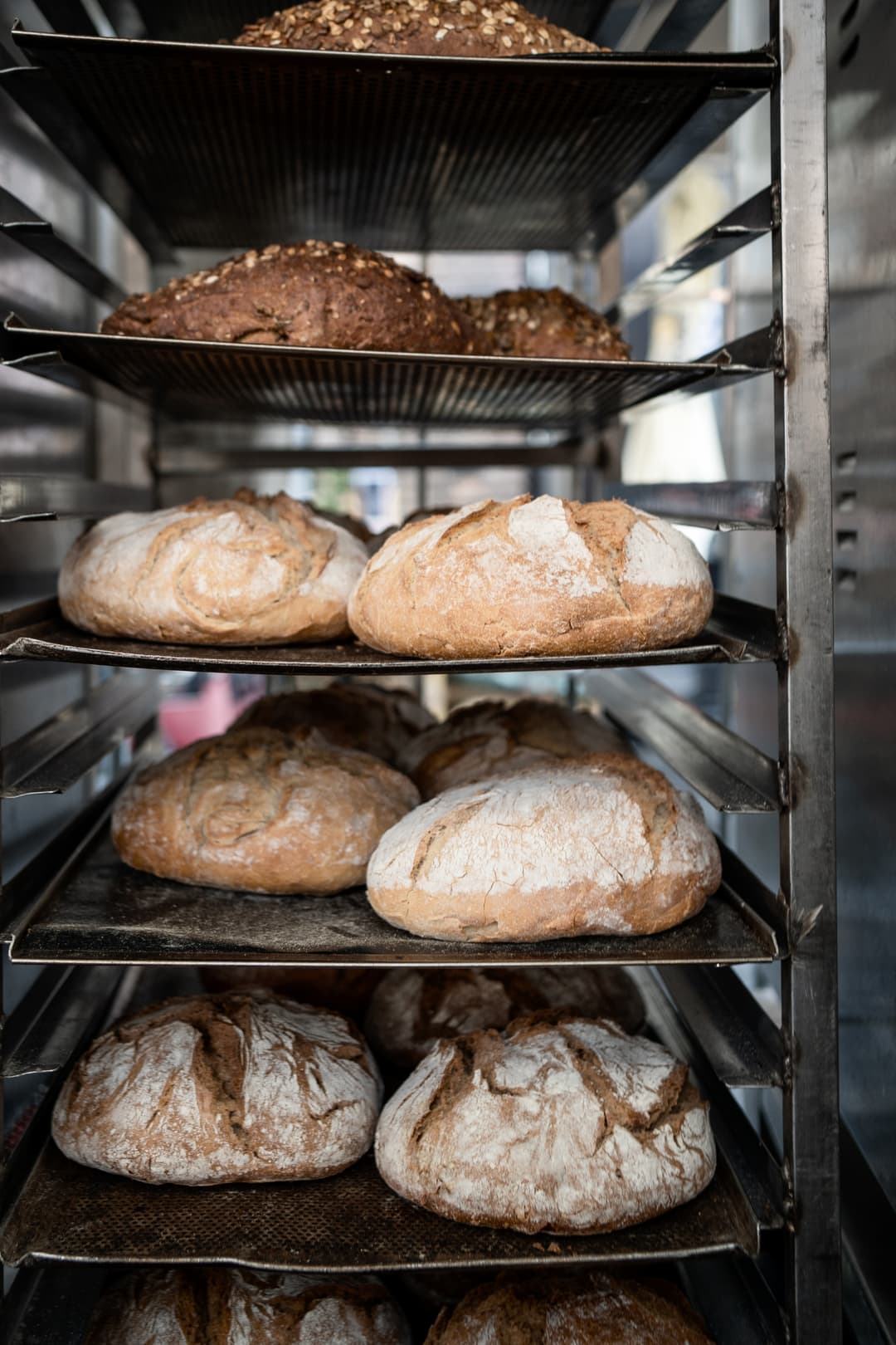 Den-Bosch-Markt-2025-RosaDorsman (4).jpg