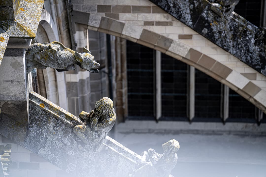 Den-Bosch-Stadsiconen-Sint-Jan-2023-Artishock (1).jpg