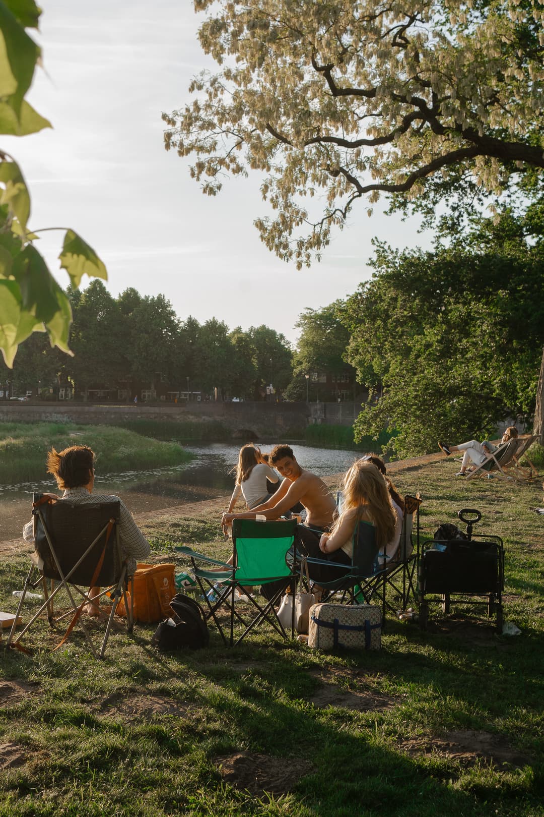 Bossche Picknick zomer stadspark