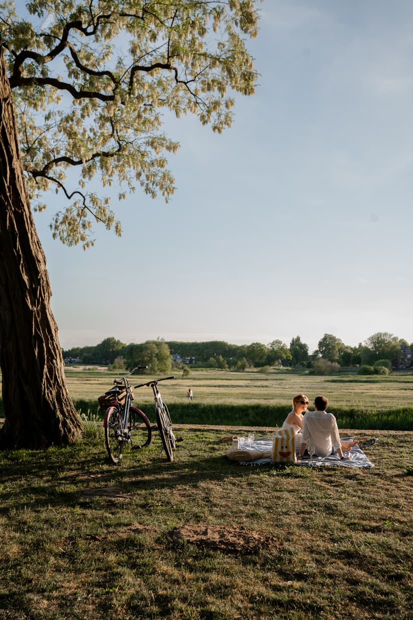 De Zuidwal is een stadspark bovenop onze 500 jaar oude stadsmuren. In de zomer strijkt menig Bosschenaar hier neer voor een urenlange picknicksessie. 