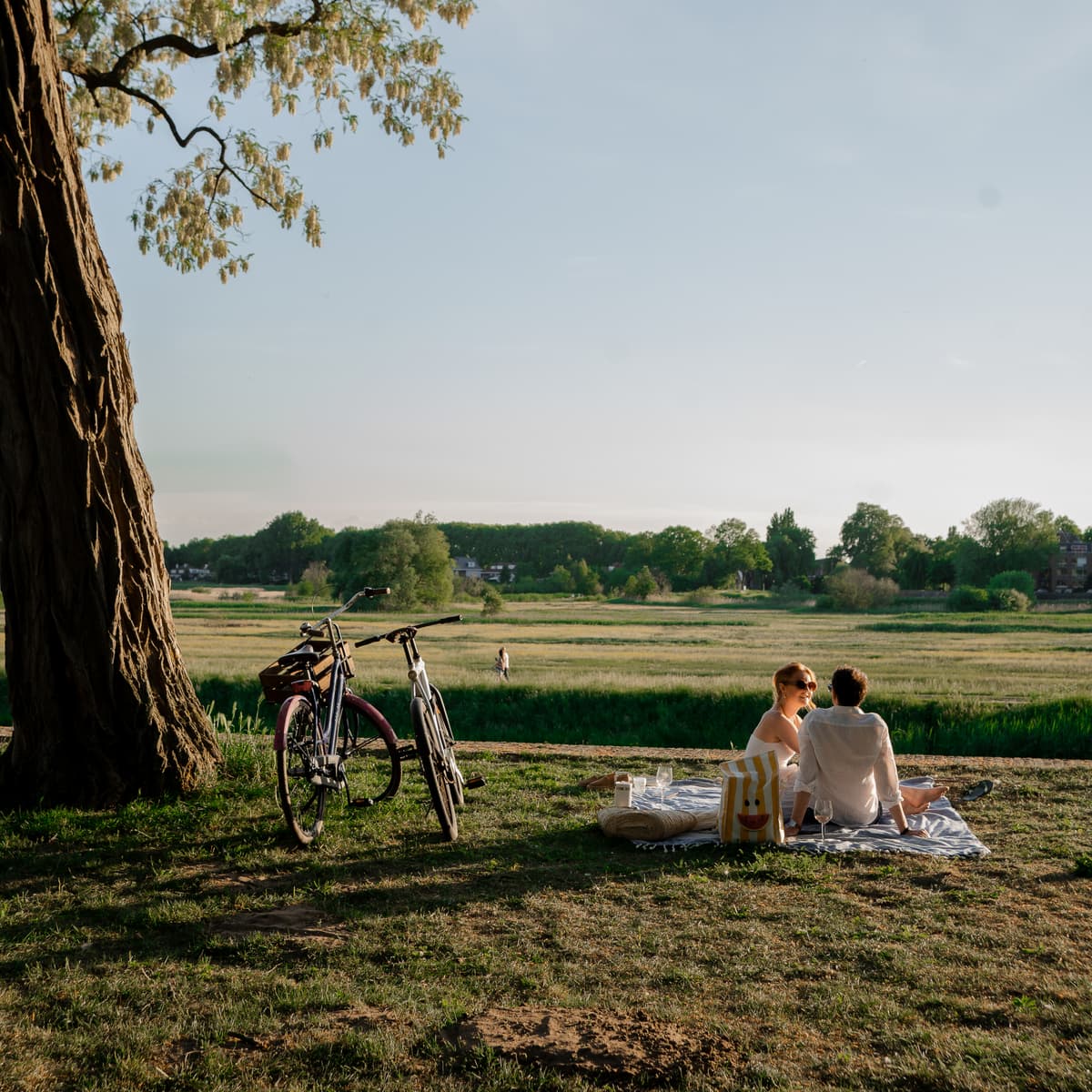 Den Bosch zomer picknick stadspark