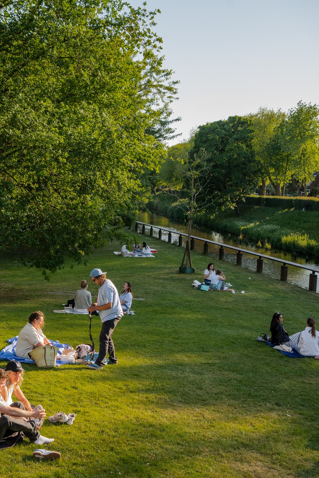 Den-Bosch-Zomer-Rosadorsman (1).jpg