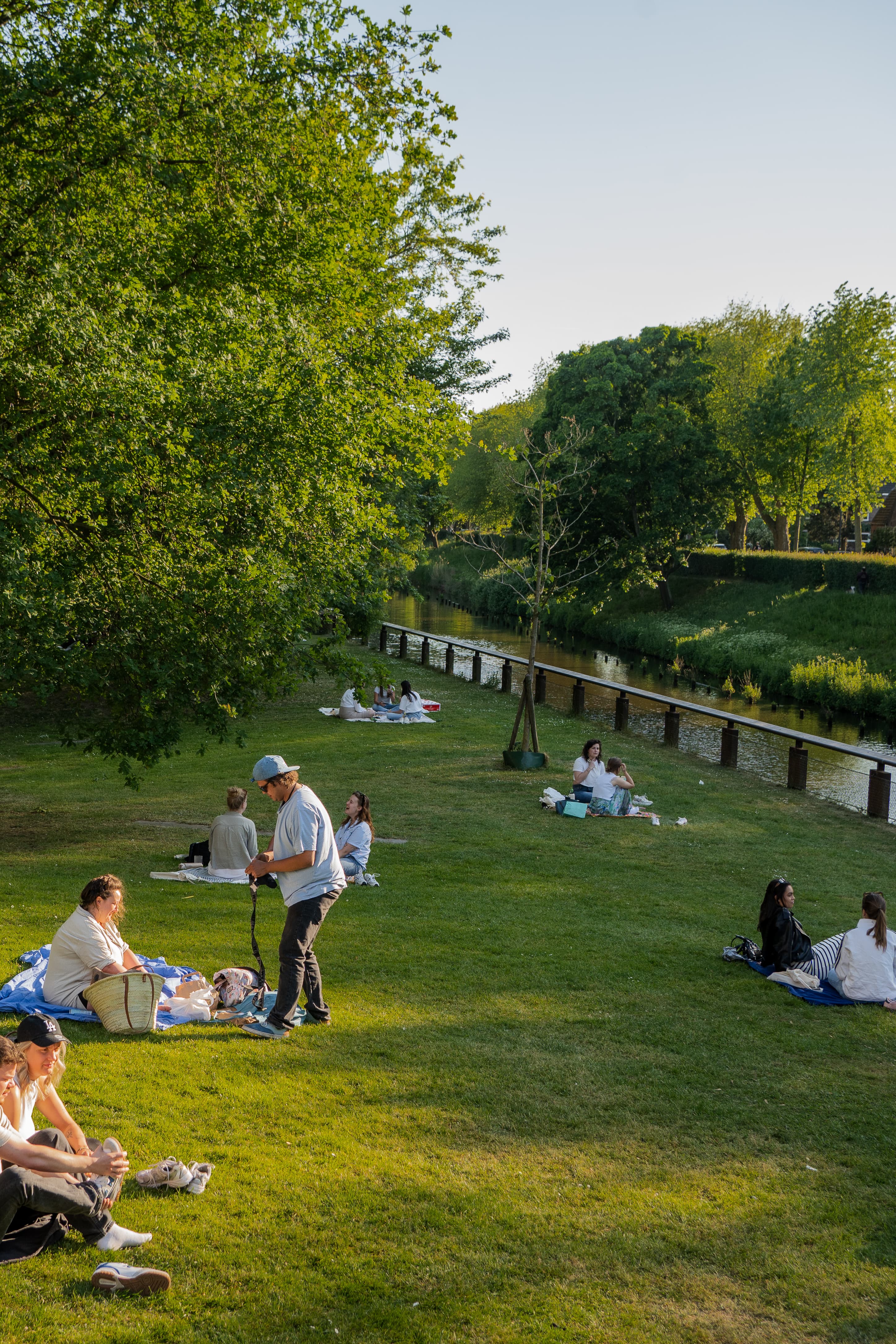 Den-Bosch-Zomer-Rosadorsman (1).jpg