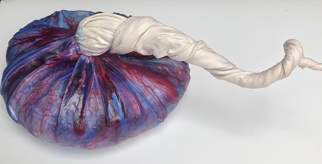 evenement- hedendaags kunstkabinet