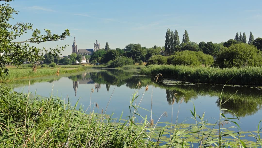 Het Bossche Broek - image