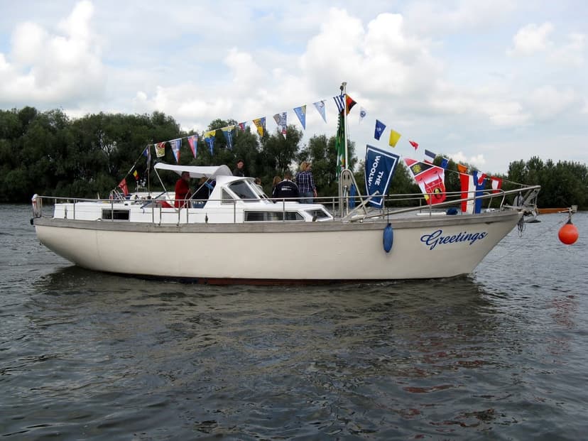 W.V. Neptunus - image