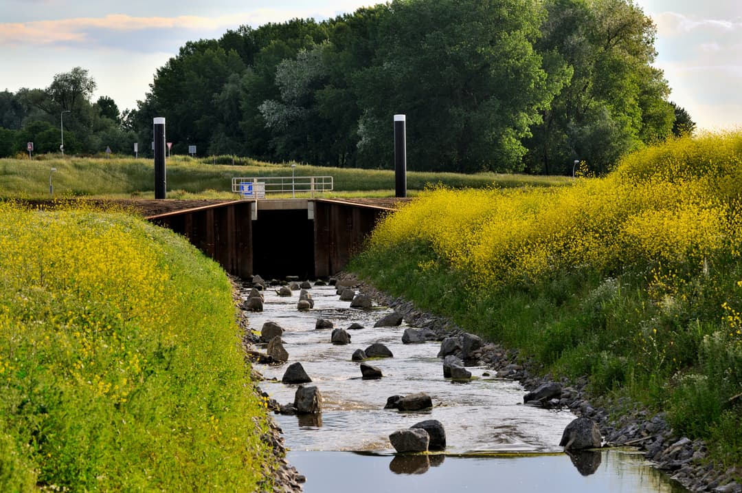 Het Kanaalpark - image