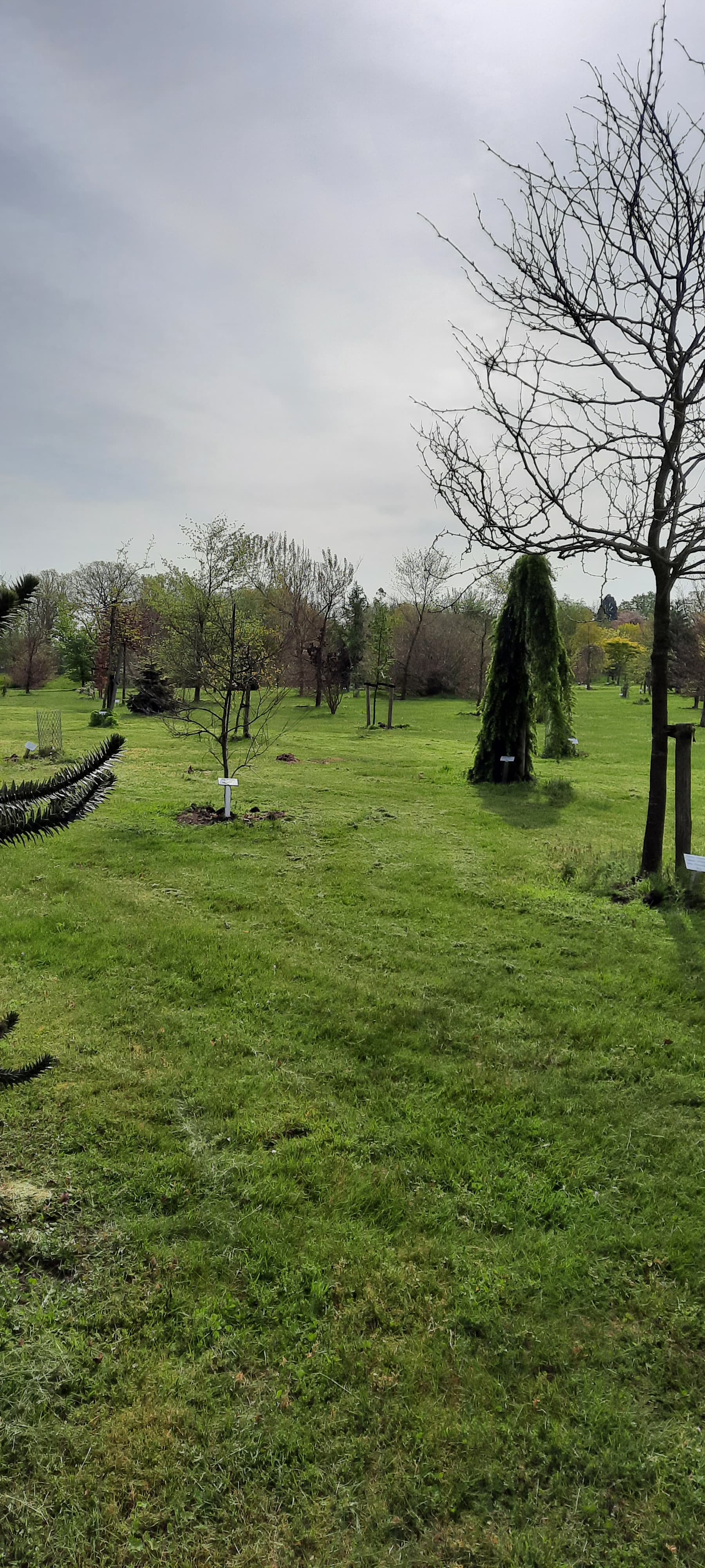 Arboretum D'n Hooidonk - image