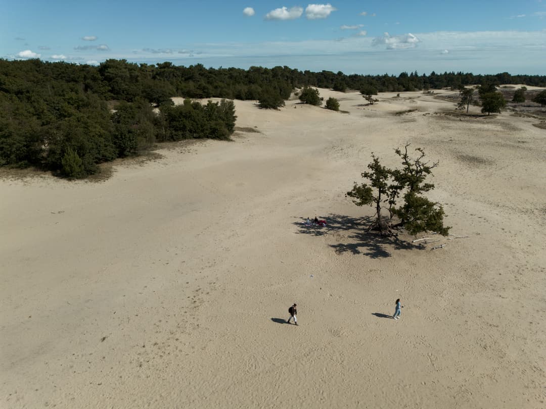 Drunense Duinen
