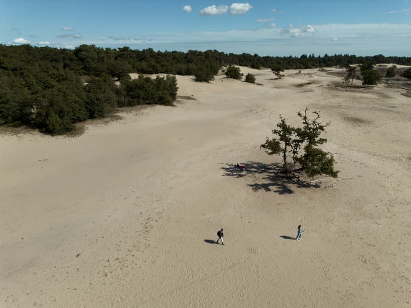 Drunense Duinen