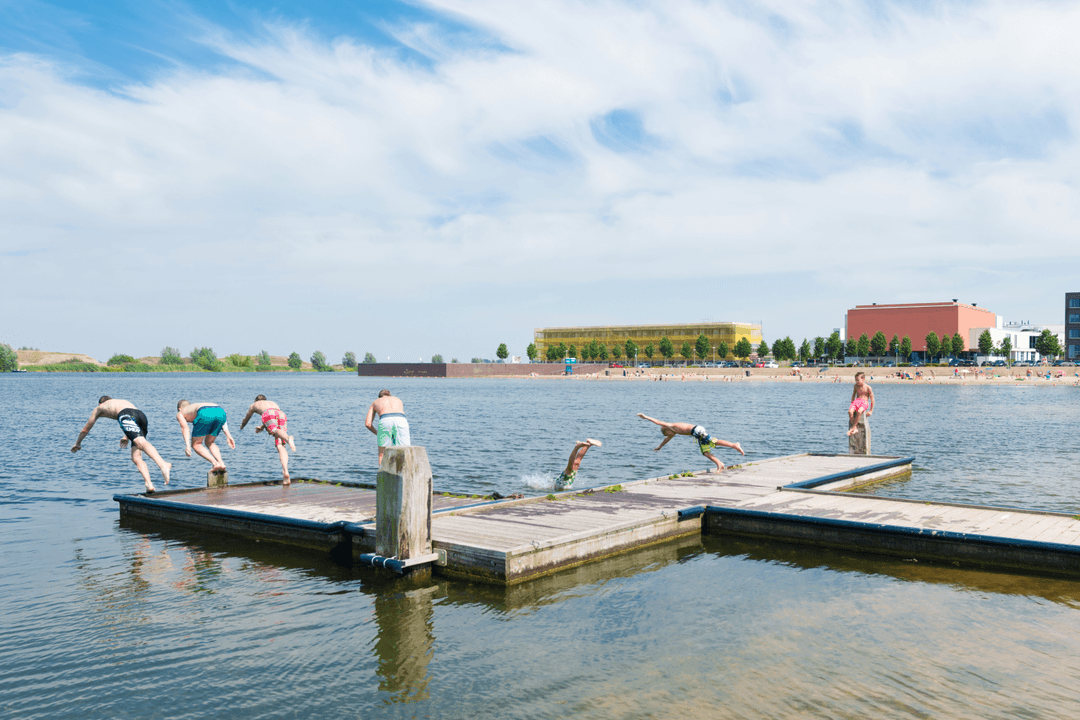 De Groote Wielenplas - image