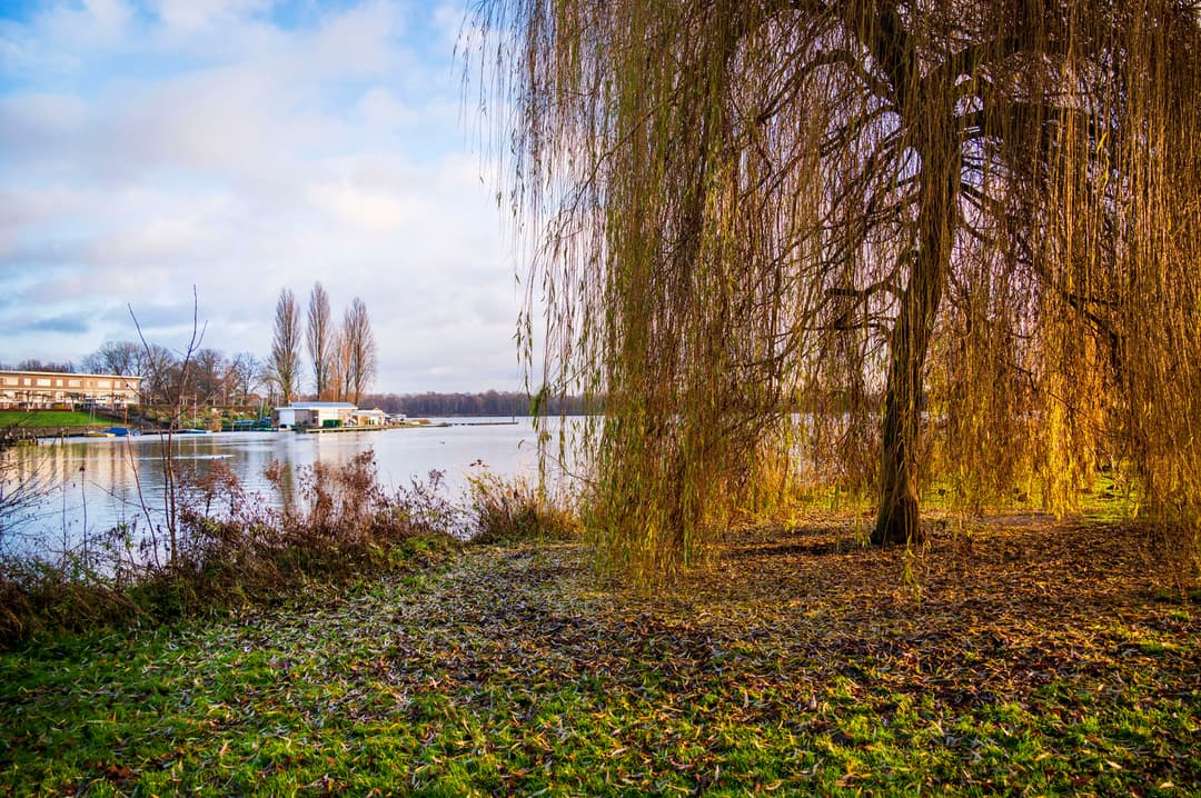 De Oosterplas - image