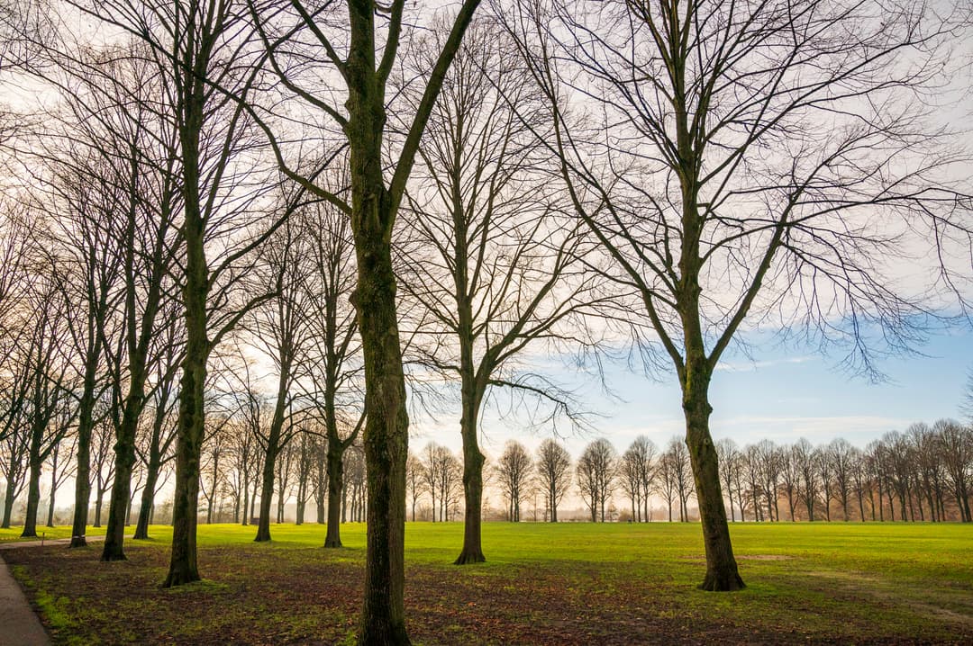 De Pettelaarse Schans - image