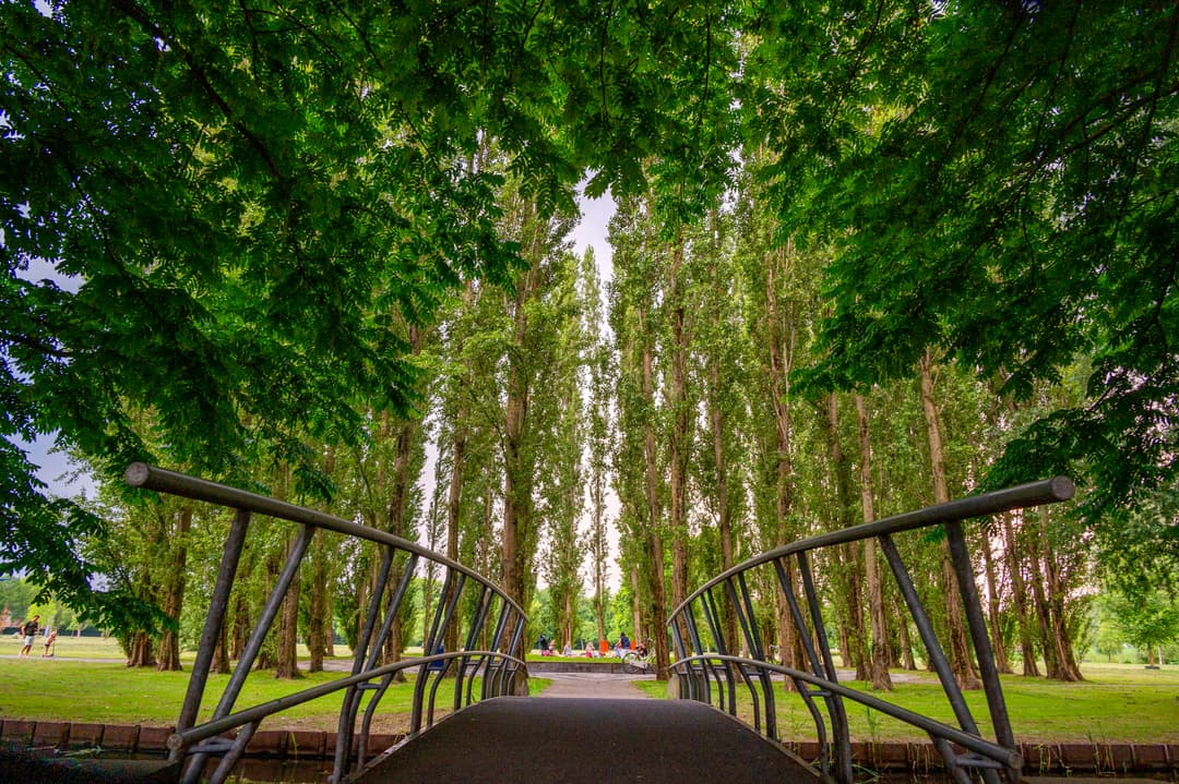 Het Zuiderpark - image