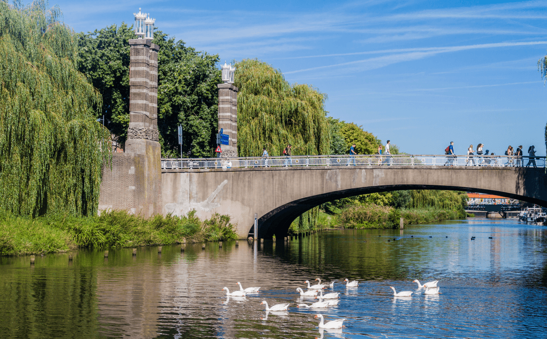 Vissen in Den Bosch - image